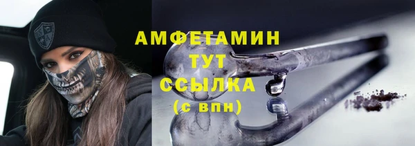 гидра Белая Холуница