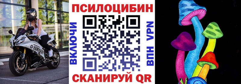 Псилоцибиновые грибы Magic Shrooms  магазин продажи   Выборг 