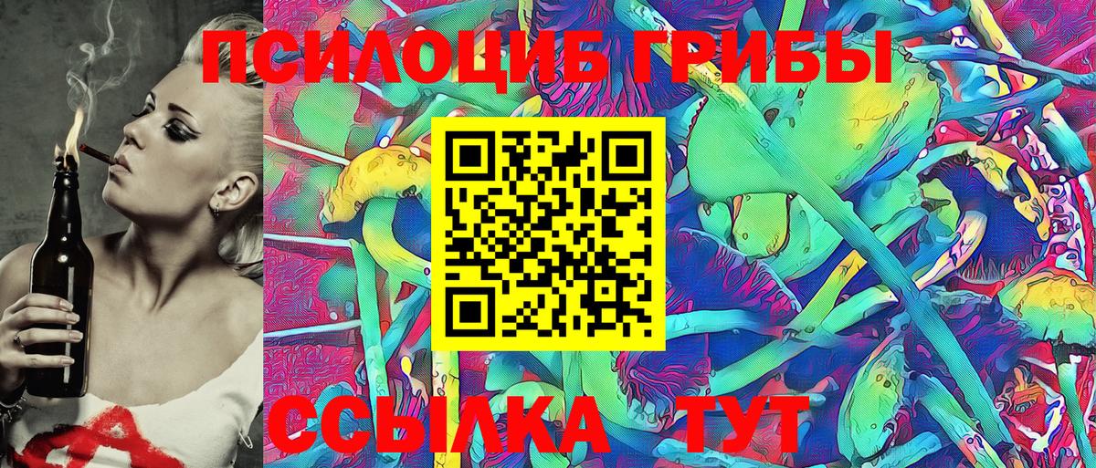 Галлюциногенные грибы Psilocybe  что такое   Выборг  Псилоцибиновые грибы Cubensis 