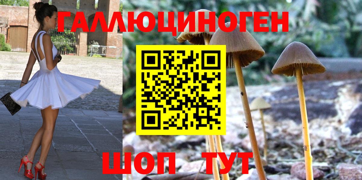 Галлюциногенные грибы Psilocybe  Галлюциногенные грибы Psilocybine cubensis  Вход с VPN  Выборг 