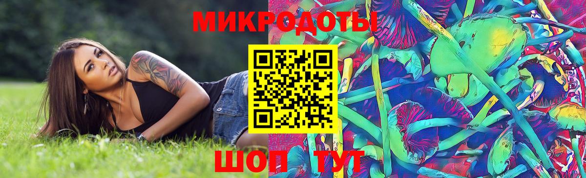 Псилоцибиновые грибы MAGIC MUSHROOMS Выборг