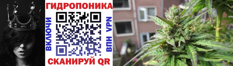 Шишки марихуана индика Выборг